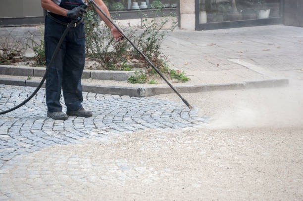 Best Animal Enclosure Cleaning  in Forestville, MD